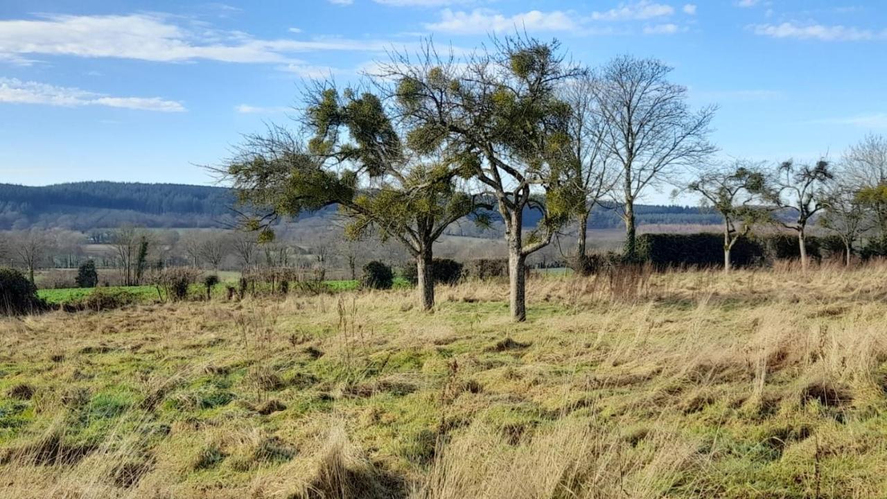 Gite Cottage Chaleureux En Pleine Campagne Vue Sur Les Monts Et Forets Et Le Chateau De Carrouges Екстериор снимка